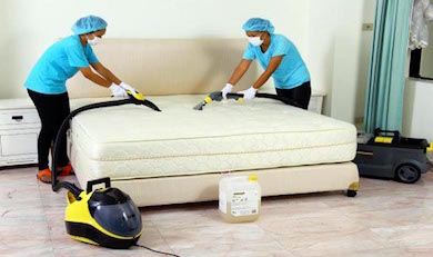 remove-bed-bugs